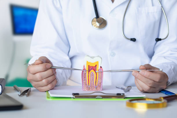 Best Emergency Treatment for Dental Infections or Abscesses in Tamaqua, PA